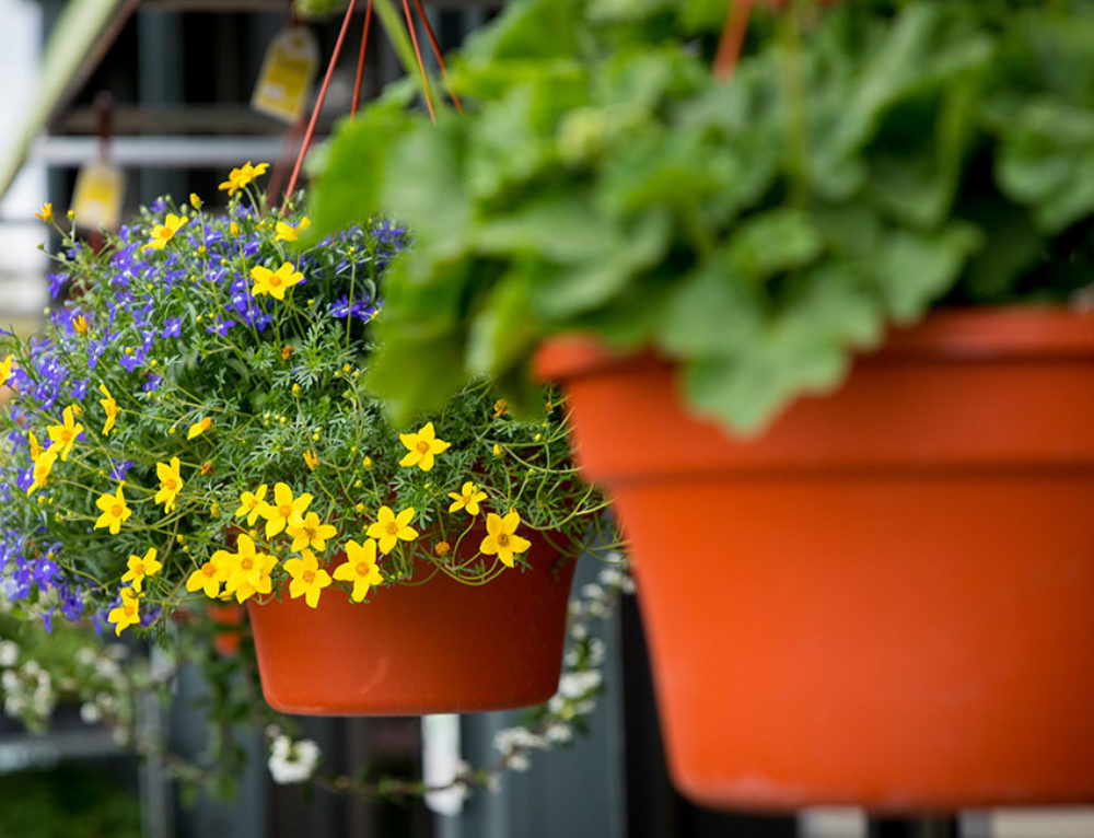 Coop Owners Annual Meeting Sioux Falls Food Co+op